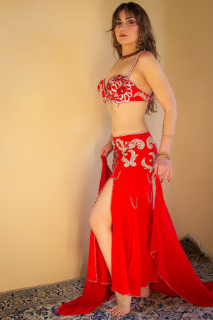 Red & Silver Floral Lace