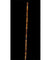 Cane- Egyptian Assaya stick